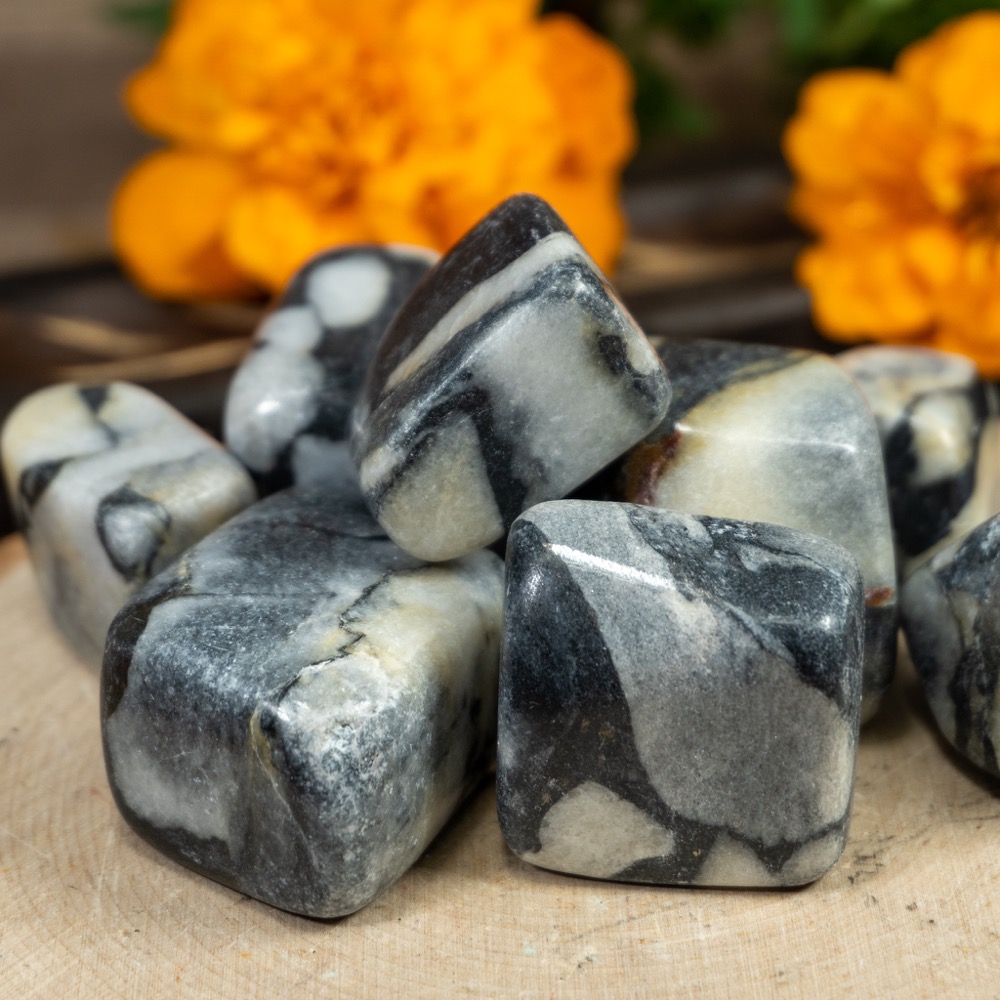 Tumbled Penguin Jasper