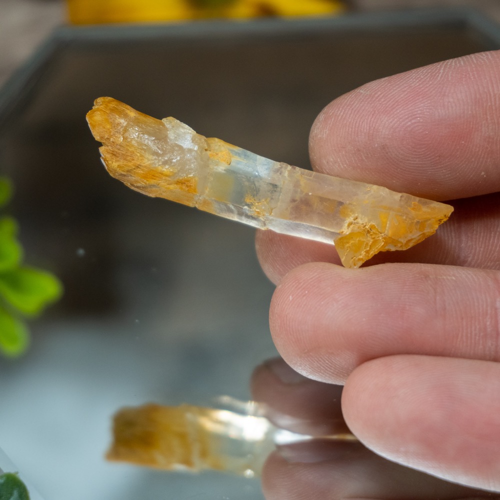 Mango Quartz 5 The Crystal Council