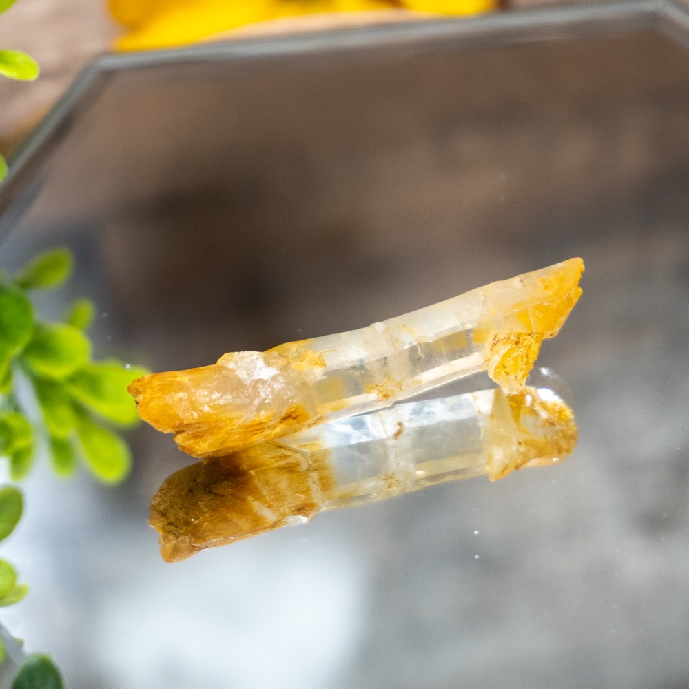 Mango Quartz 5 The Crystal Council