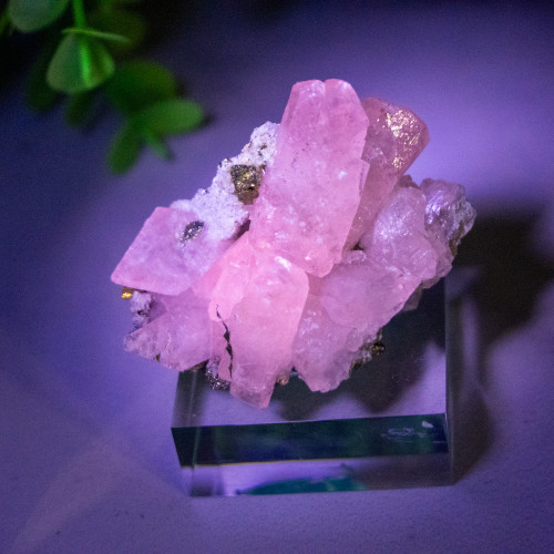Mangano Calcite (UV) with Pyrite on Stand #1