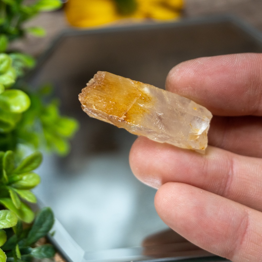 Mango Quartz 7 The Crystal Council