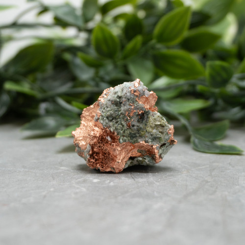 Native Michigan Copper #10