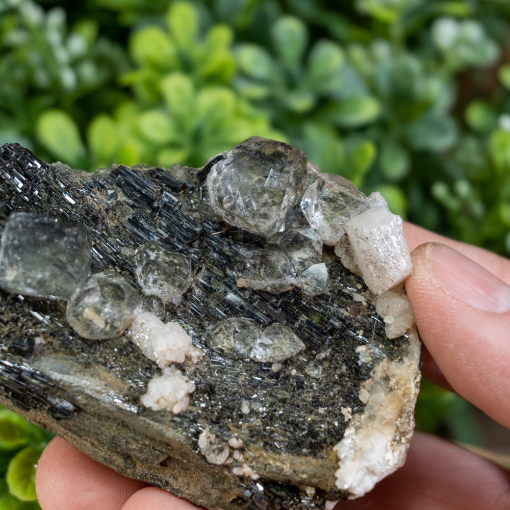 Actinolite with Quartz