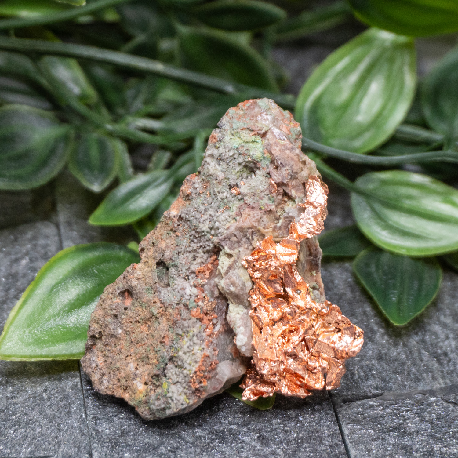 Native Michigan Copper #8