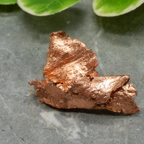 Native Michigan Copper #4