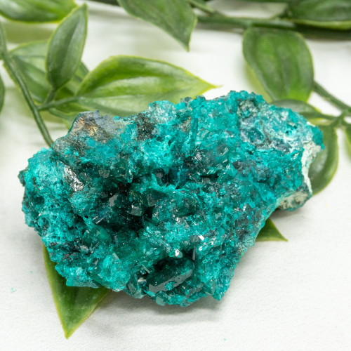 Dioptase #14