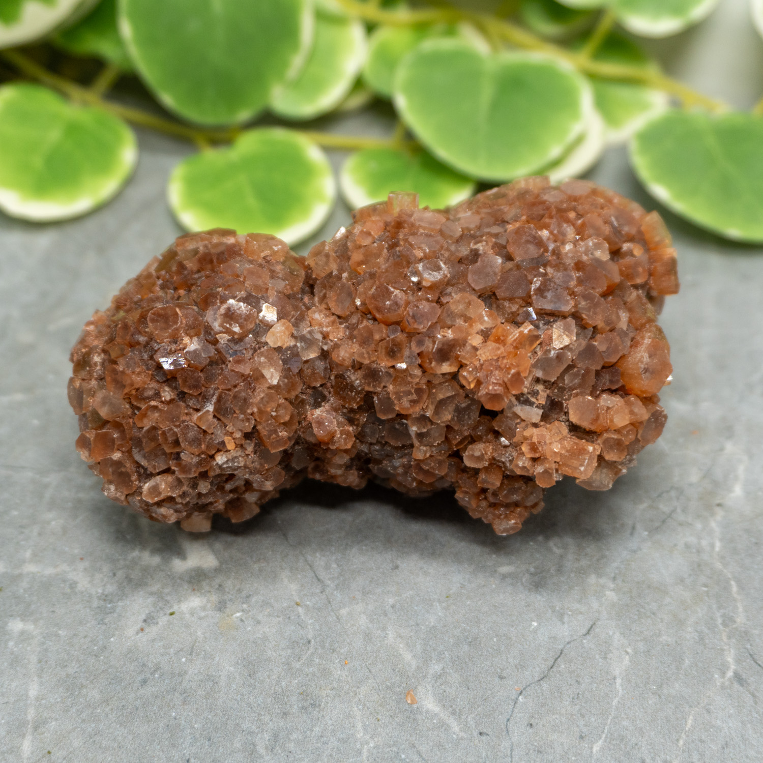 XL Raw Aragonite 5 The Crystal Council
