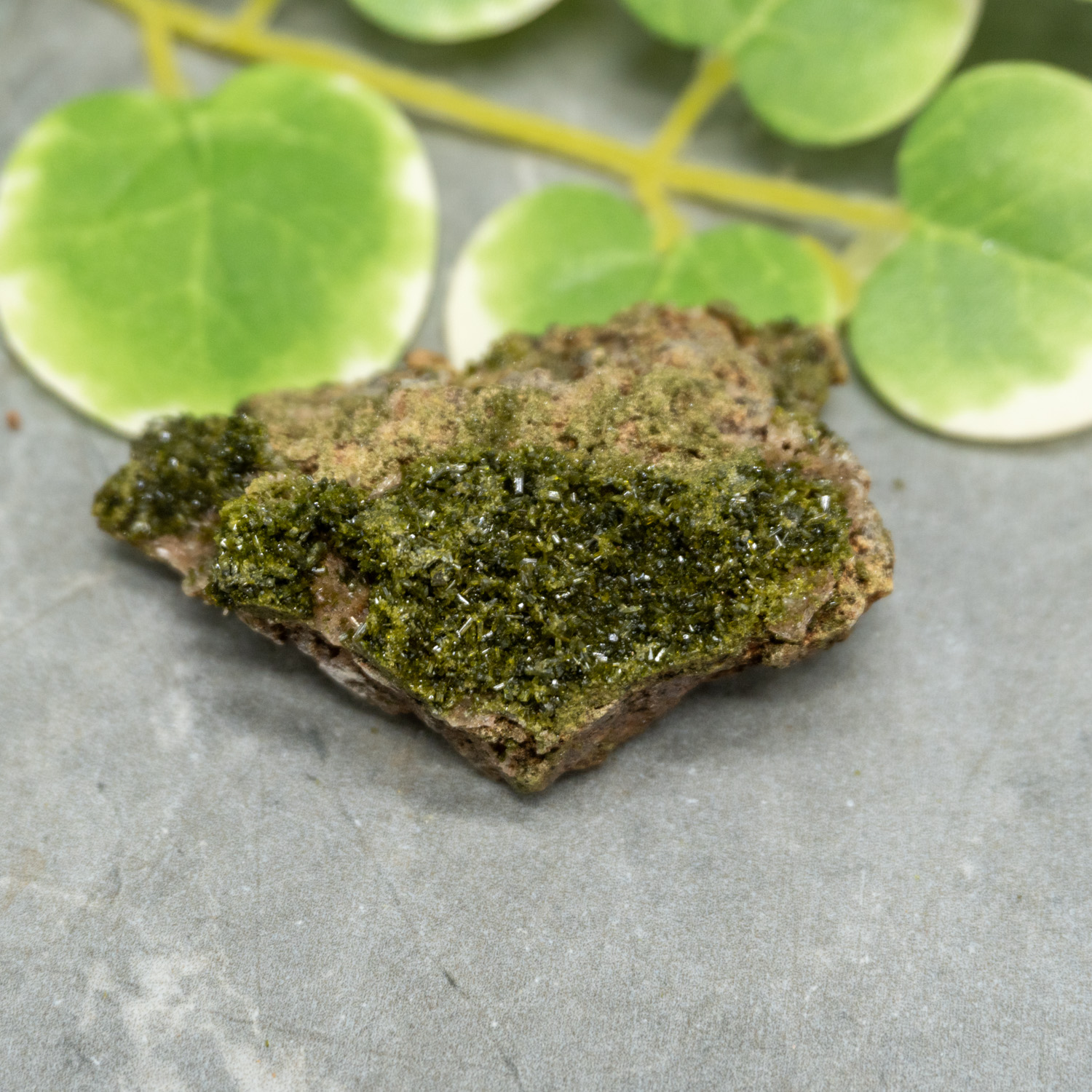 Druzy Raw Epidote #4