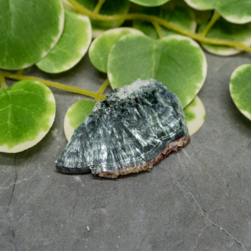 Seraphinite Slab #15