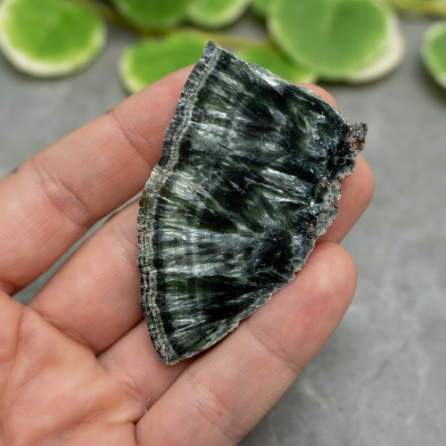 Seraphinite Slab #8