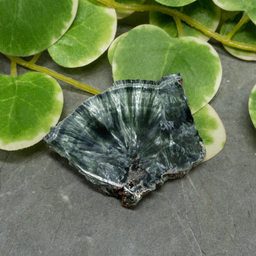 Seraphinite Slab #1