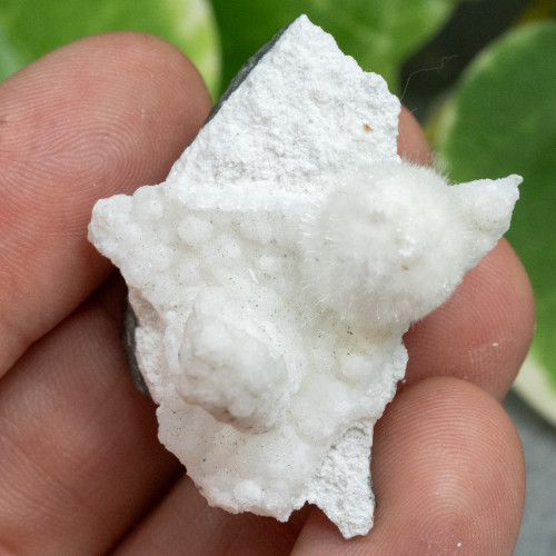 Okenite #12