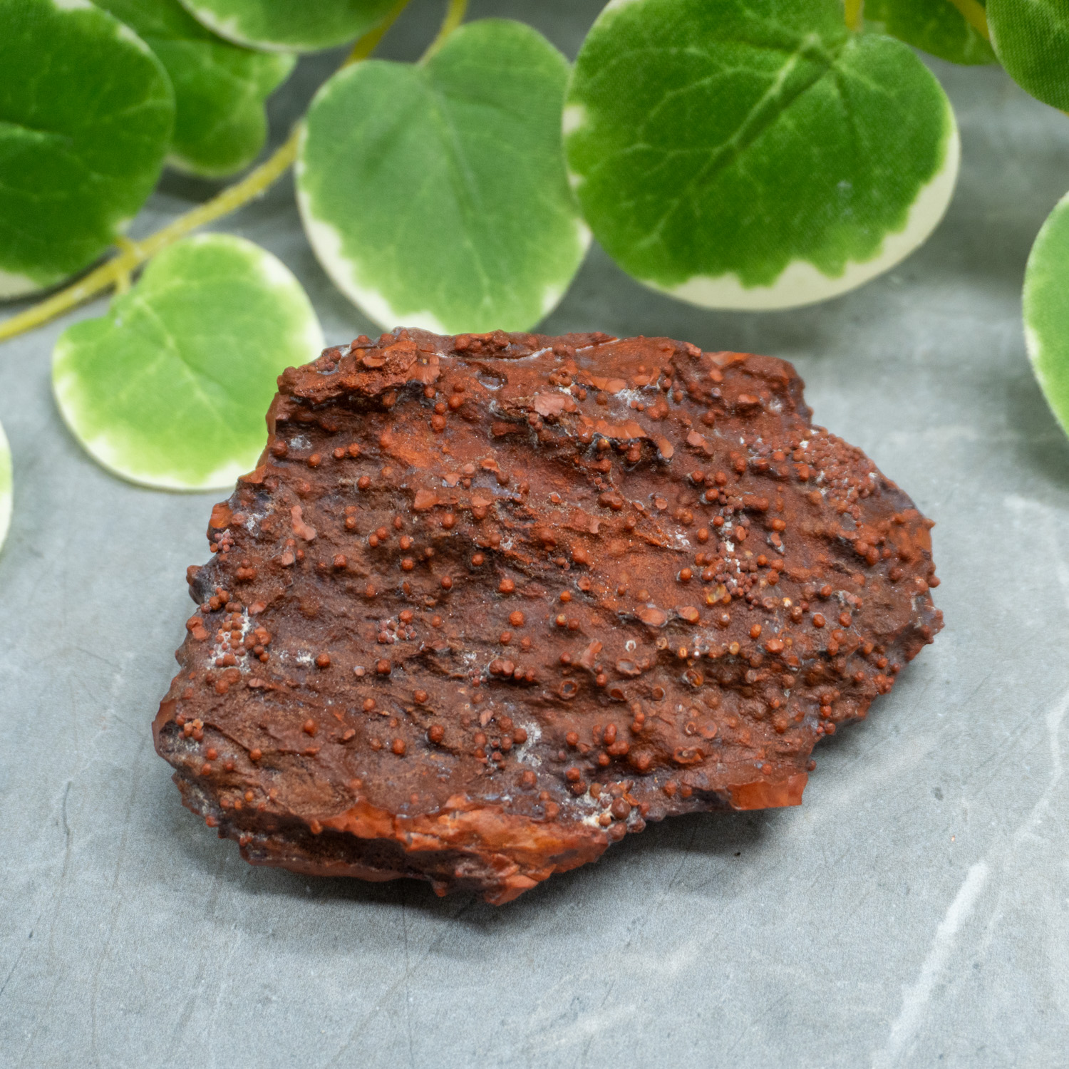 Red Grape Agate #14