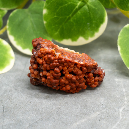 Red Grape Agate #7