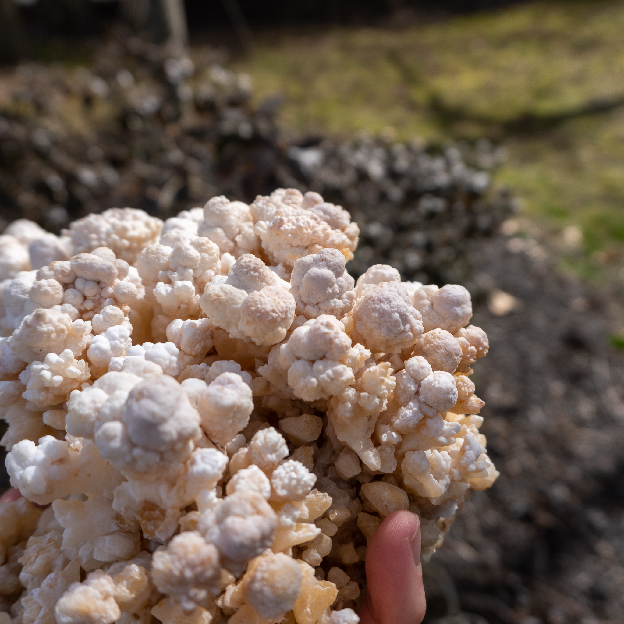 "Cauliflower" Calcite #2