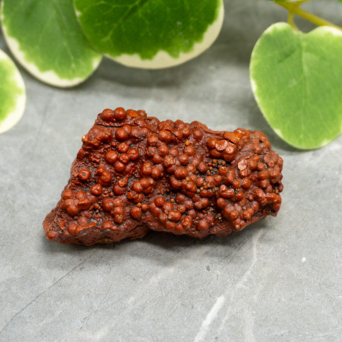 Red Grape Agate #1