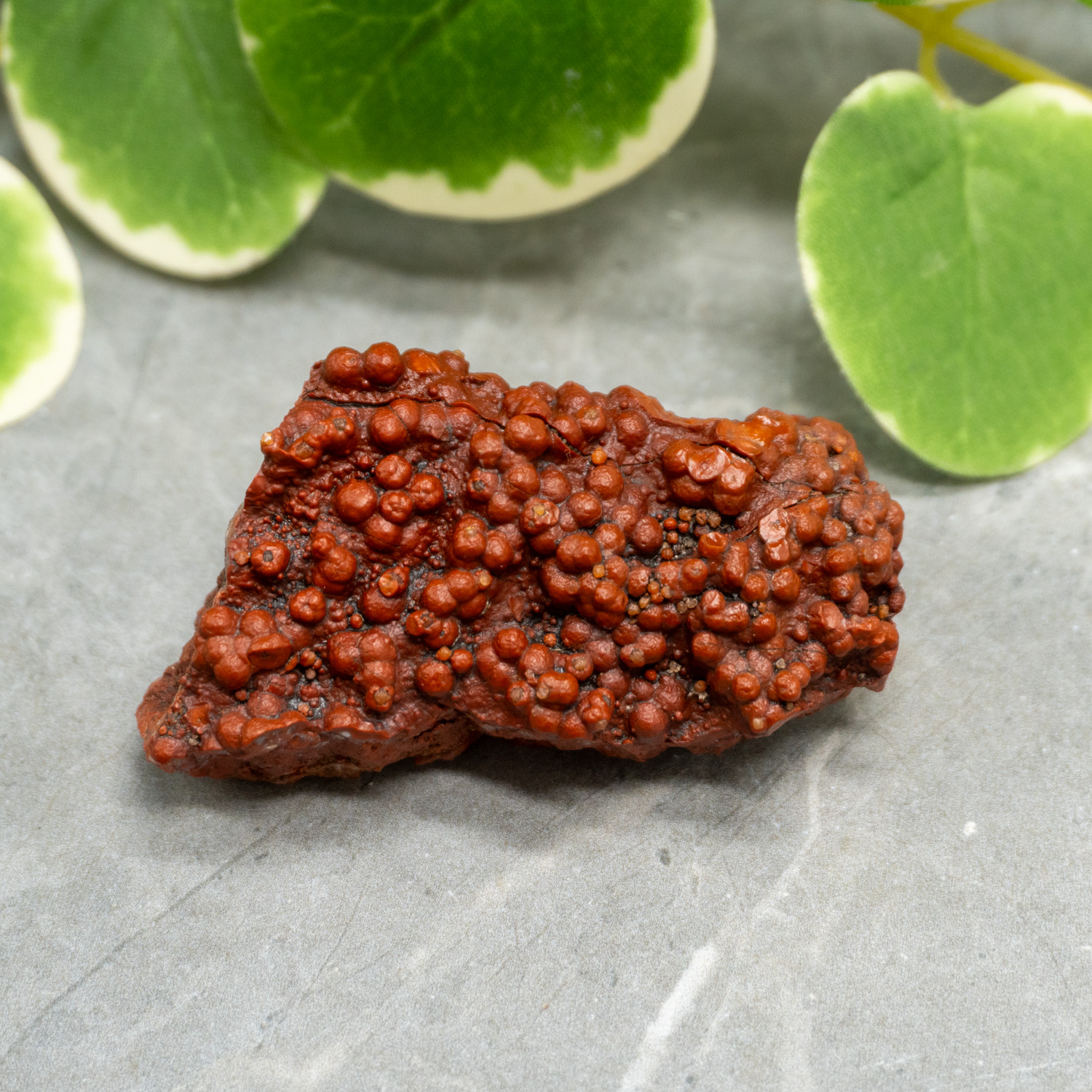 Red Grape Agate #1