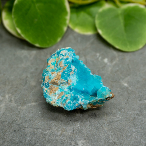 Blue Hemimorphite #4