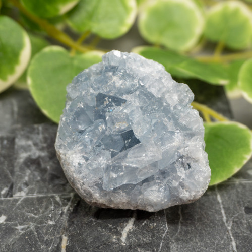 Celestite #5