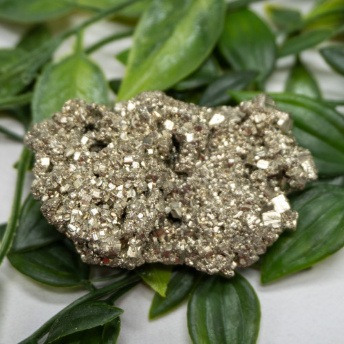 Pyrite #17