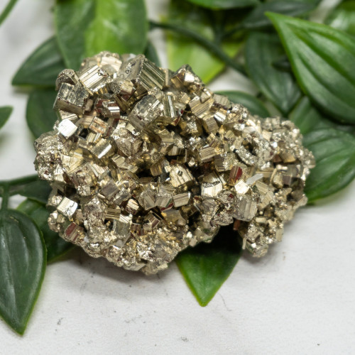 Pyrite #15