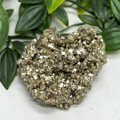 Pyrite #7