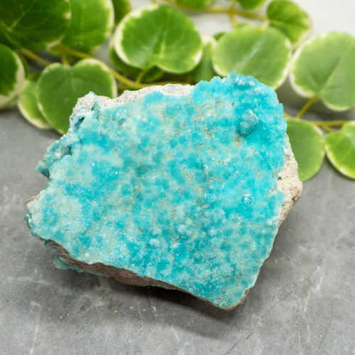 Blue Hemimorphite #21