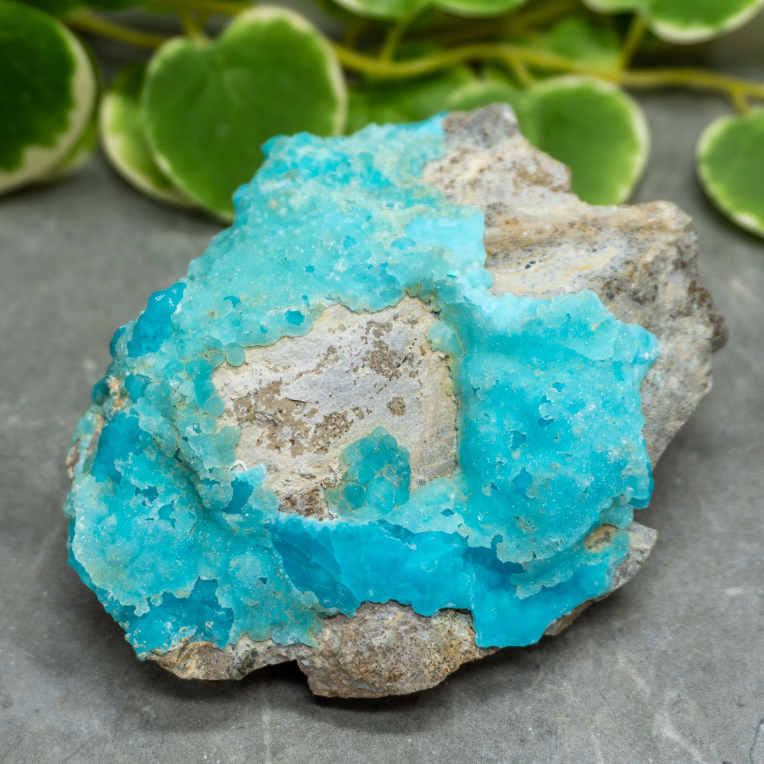 Blue Hemimorphite #19