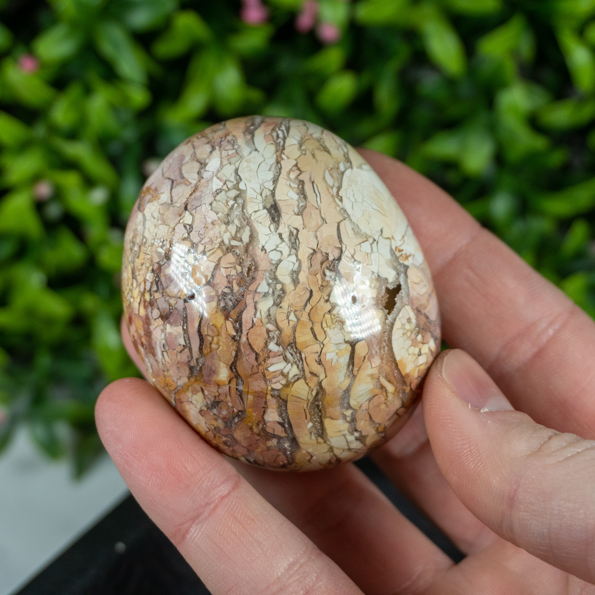 ocean-jasper-palmstone-the-crystal-council