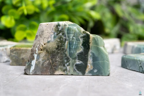 Green Opalized Wood