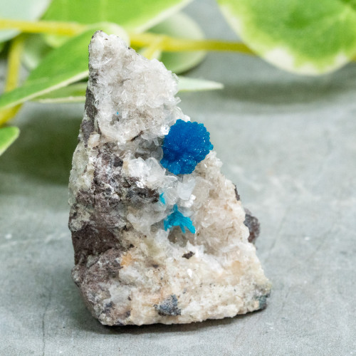 Cavansite A+ Quality #2