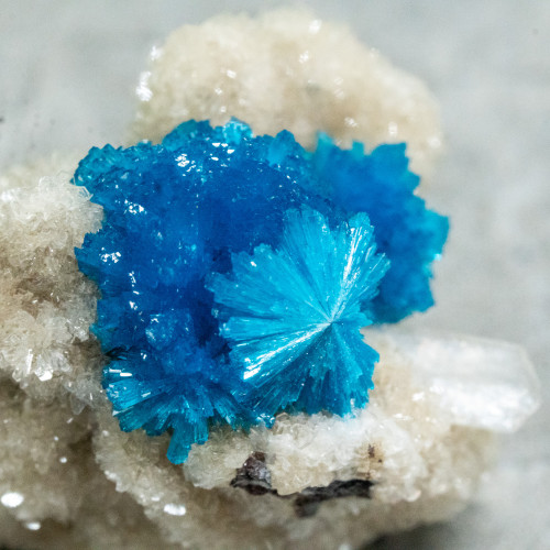 Cavansite A+ Quality #1