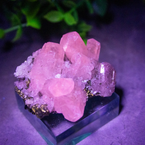 Mangano Calcite on Pyrite on stand #7