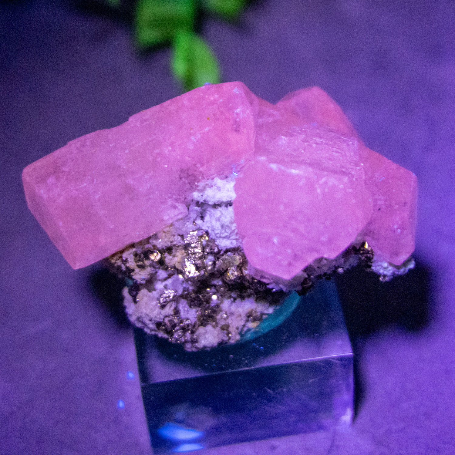 Mangano Calcite on Pyrite on stand #4