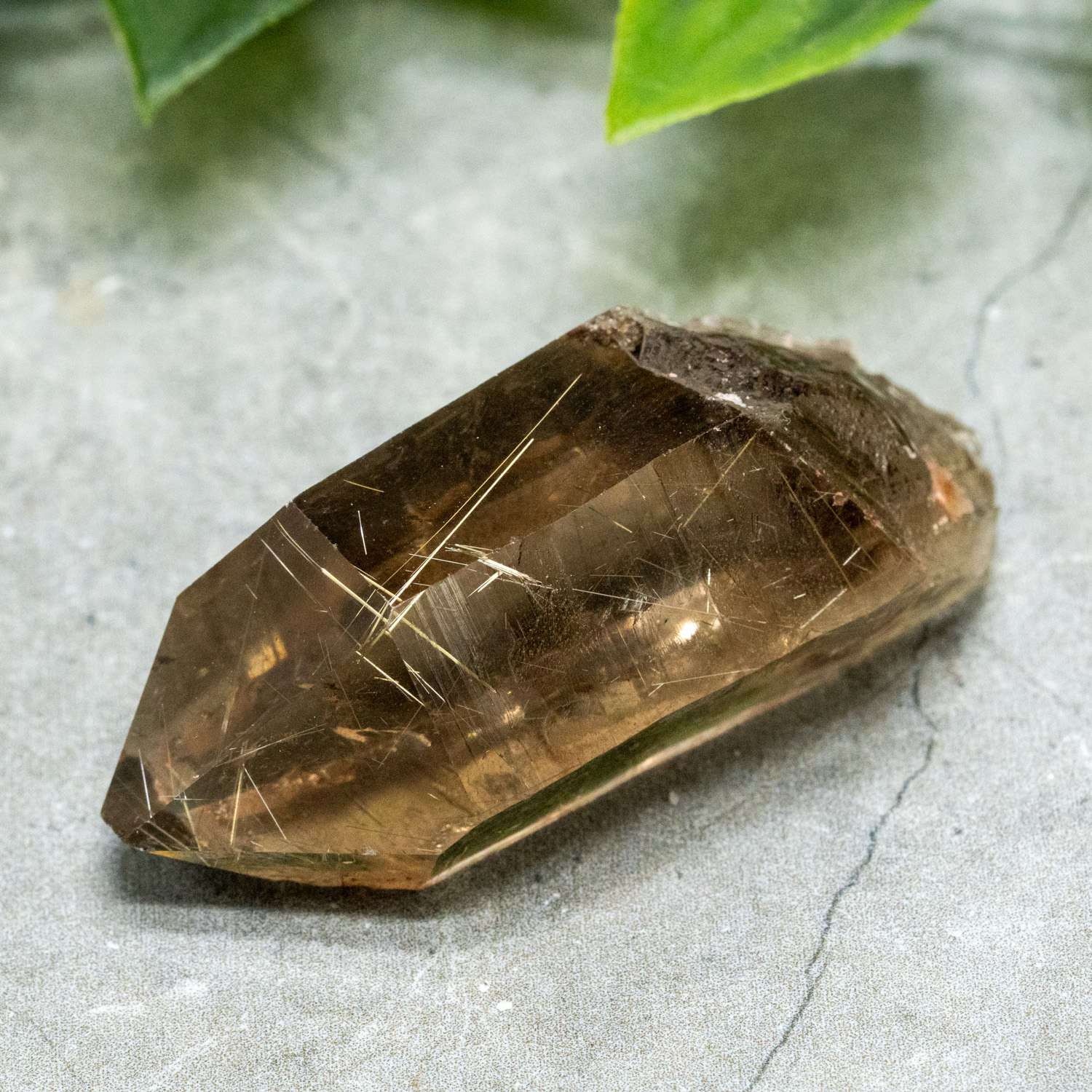 Rutile in Quartz #11