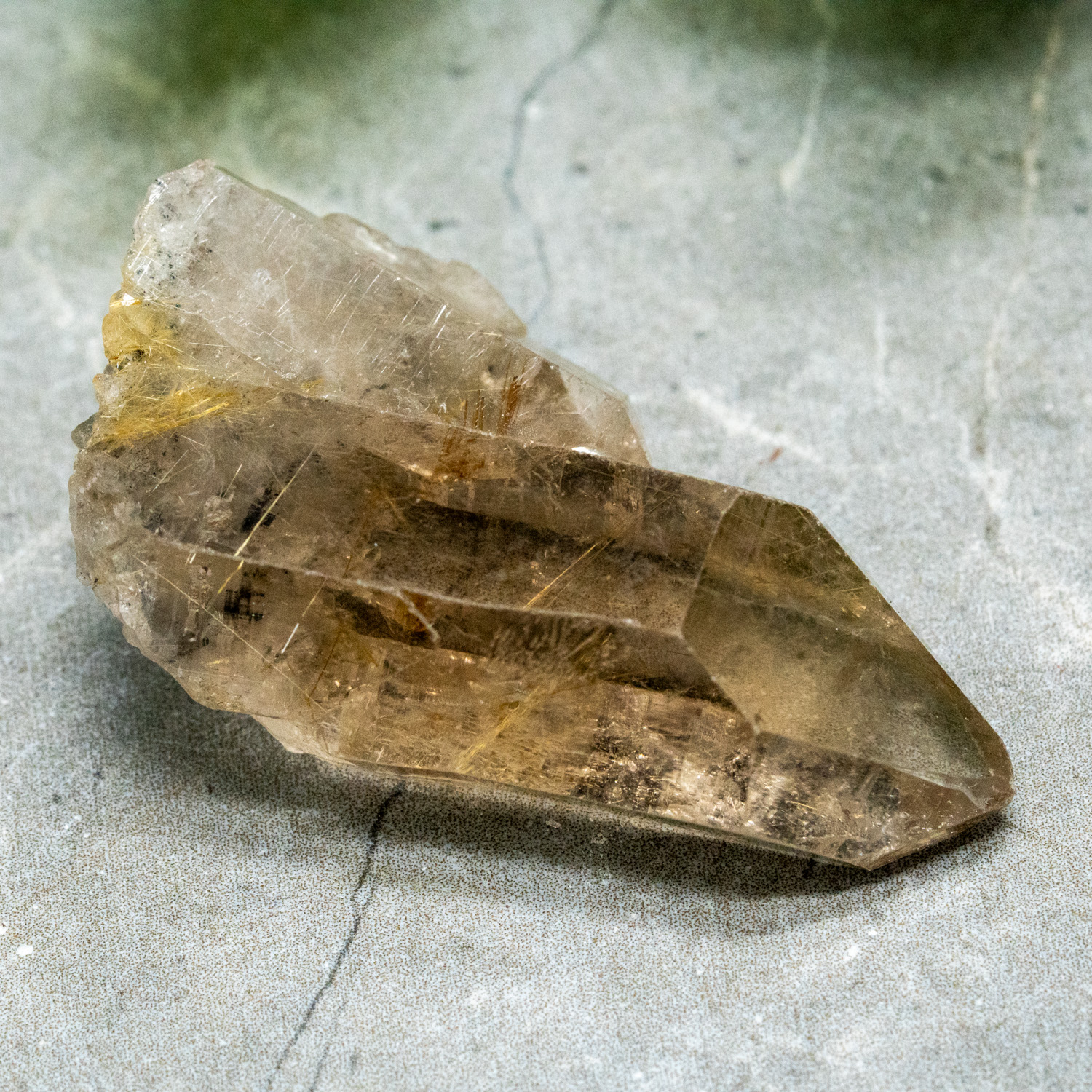 Rutile in Quartz #9