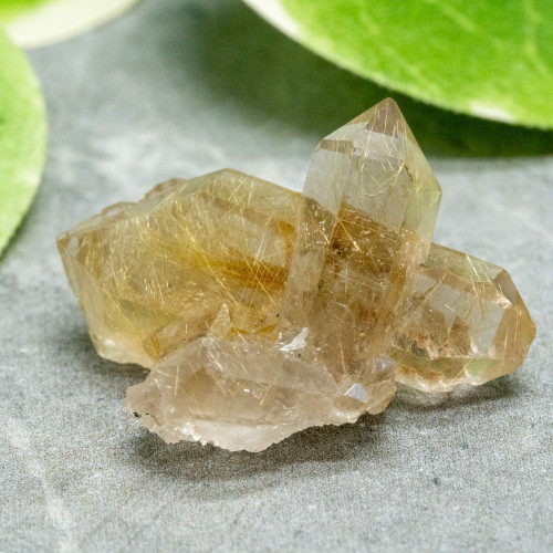 Rutile in Quartz #6