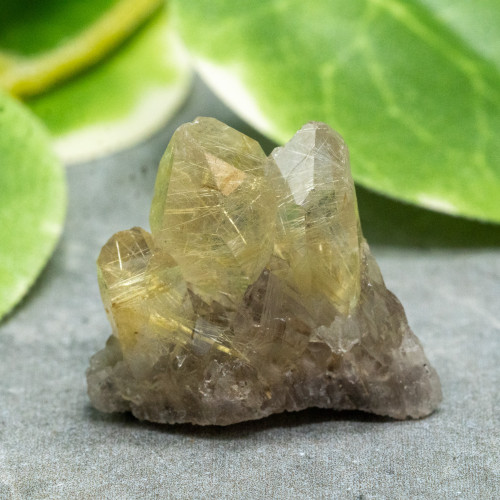 Rutile in Quartz #2