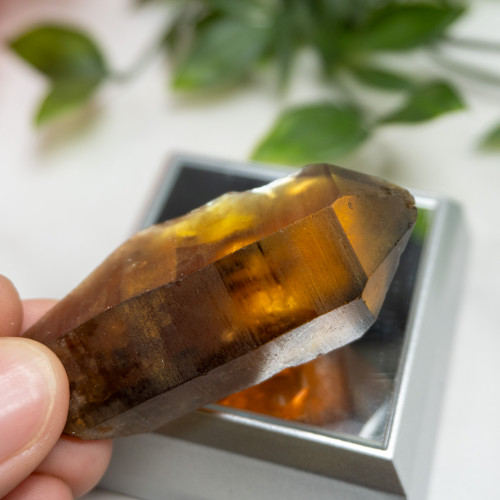 Zambian Citrine #17