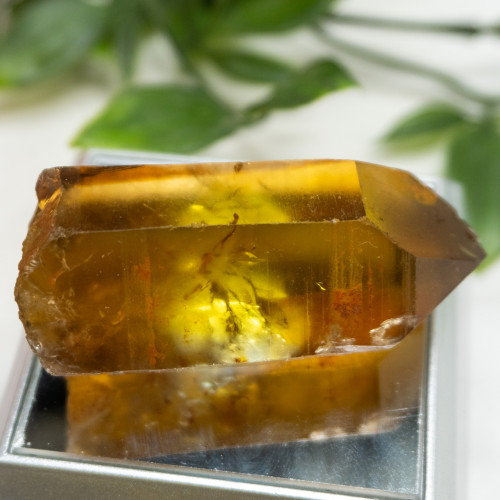 Zambian Citrine #16