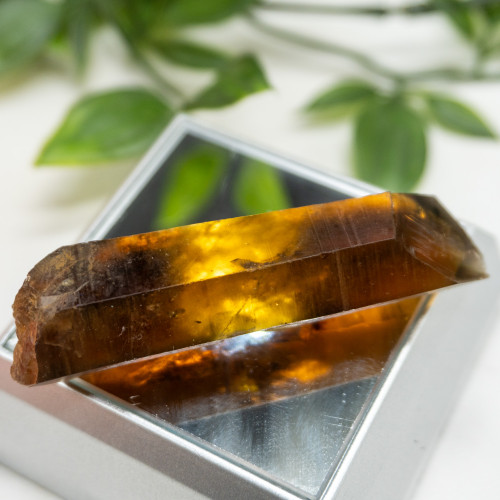 Zambian Citrine #14