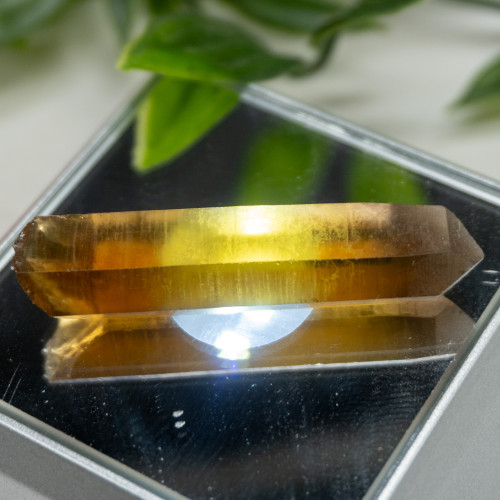Zambian Citrine #6
