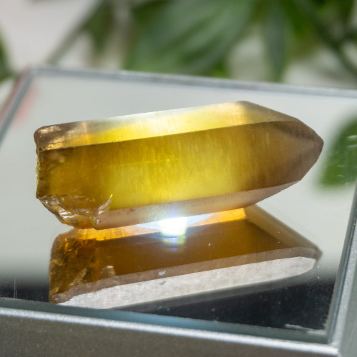 Zambian Citrine #1