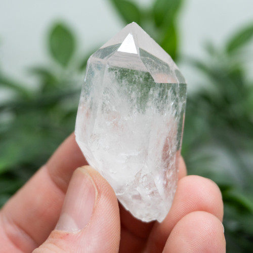 Colombian Lemurian Quartz #21