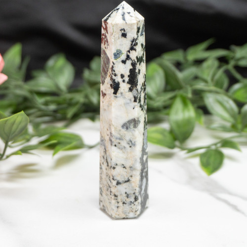 Blue Jay Sapphire Tower #10