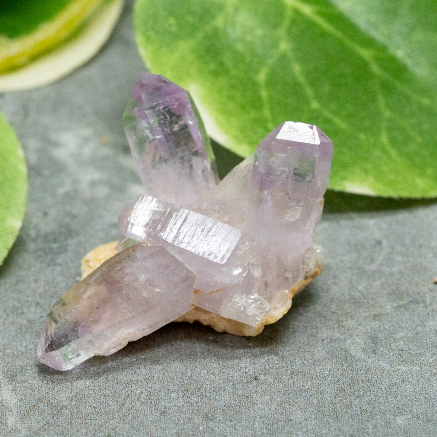 Vera Cruz Amethyst #21