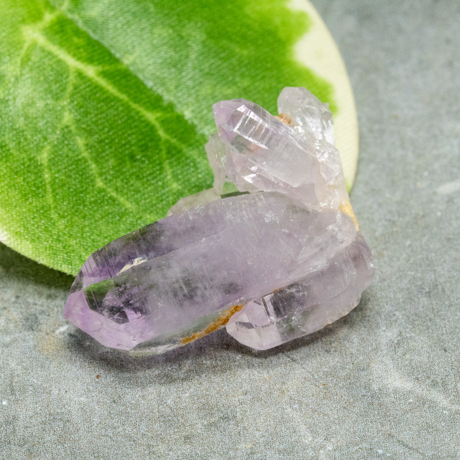 Vera Cruz Amethyst #19