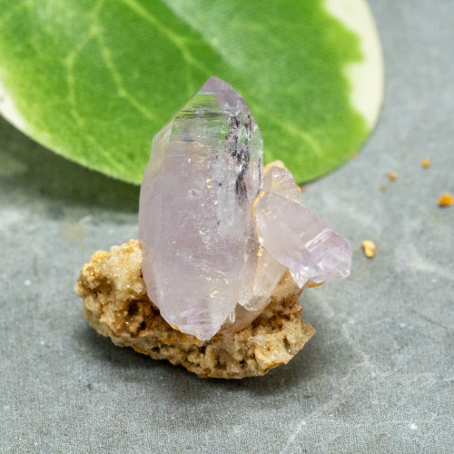 Vera Cruz Amethyst #18