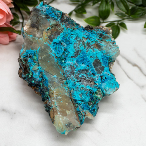 XL Quantum Quattro #1