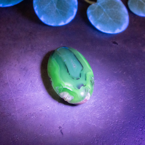 Volcano Agate Palmstone (UV Reactive) #1